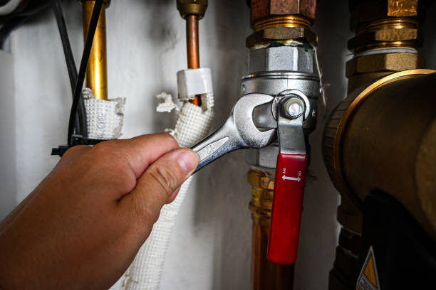 Best Clogged Drain Plumber  in Eureka, IL